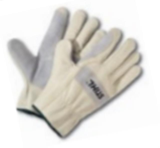 Where to rent STI VALUE PRO GLOVES - LG in North Palm Beach FL