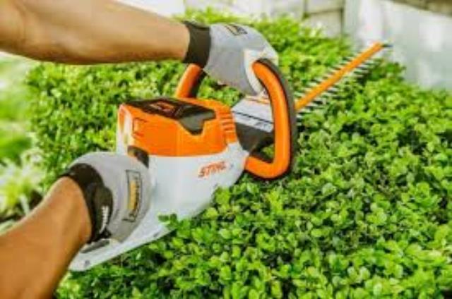 Where to rent HSA 100 HEDGE TRIMMER in North Palm Beach FL