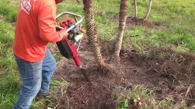 Where to rent DYNA DIGGER POWER SHOVEL in North Palm Beach FL